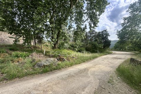 Helårsgrund i Chaves, Vila Real, Chaves - € 22.000 | Ref: 059754 - foto 5