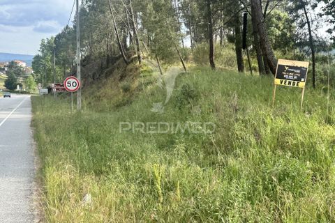 Helårsgrund i Chaves, Vila Real, Chaves - € 22.000 | Ref: 059754 - foto 8