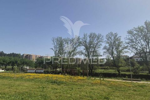 Lejlighed i Braga, Braga, Braga - € 425.000 | Ref: 059755 - foto 36