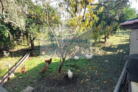 Villa i Priolo Gargallo, Siracusa, Priolo Gargallo - € 100.000 | Ref: RIF. BEL VCAM 26 - foto 3