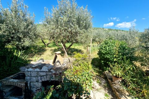 Villa i Montecchio, Terni, Montecchio - € 350.000 | Ref: MON24-1-1-1 - foto 19