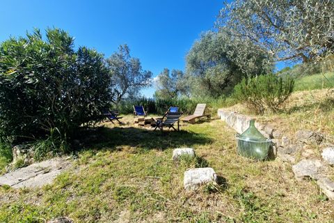 Villa i Montecchio, Terni, Montecchio - € 350.000 | Ref: MON24-1-1-1 - foto 39