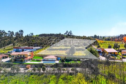 Helårsgrund i Anadia, Aveiro, Anadia - € 58.200 | Ref: ZMPT587512 - foto 2