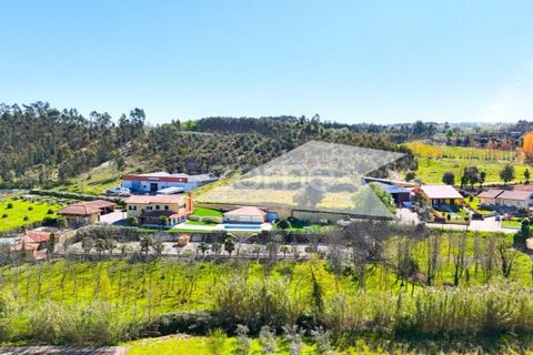 Helårsgrund i Anadia, Aveiro, Anadia - € 58.200 | Ref: ZMPT587512 - foto 4