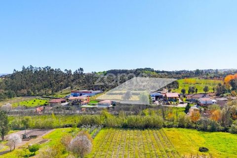Helårsgrund i Anadia, Aveiro, Anadia - € 58.200 | Ref: ZMPT587512 - foto 5