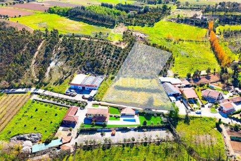 Helårsgrund i Anadia, Aveiro, Anadia - € 58.200 | Ref: ZMPT587512 - foto 6