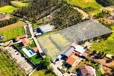 Helårsgrund i Anadia, Aveiro, Anadia - € 58.200 | Ref: ZMPT587512 - foto 7