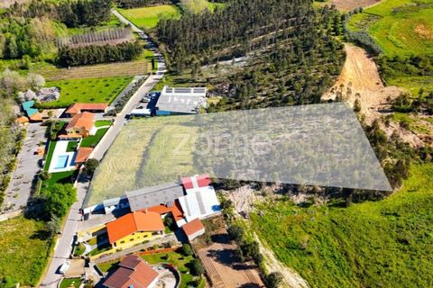 Helårsgrund i Anadia, Aveiro, Anadia - € 58.200 | Ref: ZMPT587512 - foto 8