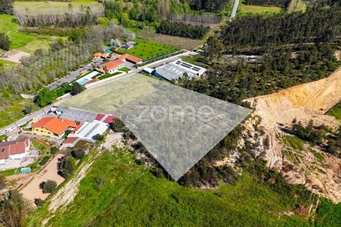 Helårsgrund i Anadia, Aveiro, Anadia - € 58.200 | Ref: ZMPT587512 - foto 9