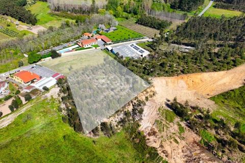 Helårsgrund i Anadia, Aveiro, Anadia - € 58.200 | Ref: ZMPT587512 - foto 10