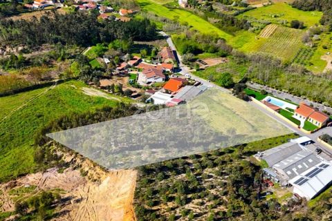 Helårsgrund i Anadia, Aveiro, Anadia - € 58.200 | Ref: ZMPT587512 - foto 11