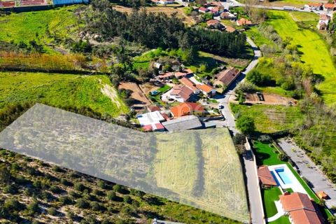 Helårsgrund i Anadia, Aveiro, Anadia - € 58.200 | Ref: ZMPT587512 - foto 12