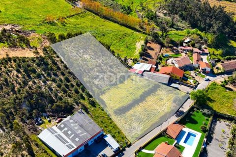 Helårsgrund i Anadia, Aveiro, Anadia - € 58.200 | Ref: ZMPT587512 - foto 13