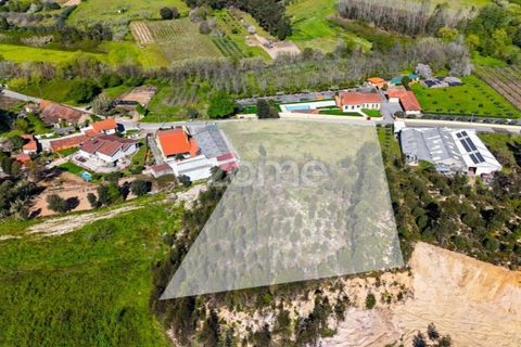 Helårsgrund i Anadia, Aveiro, Anadia - € 58.200 | Ref: ZMPT587512 - foto 15