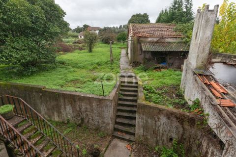 Villa i Coimbra, Coimbra, Coimbra - € 260.000 | Ref: ZMPT583179 - foto 33