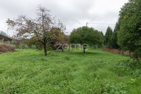 Villa i Coimbra, Coimbra, Coimbra - € 260.000 | Ref: ZMPT583179 - foto 41