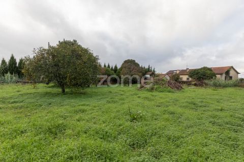 Villa i Coimbra, Coimbra, Coimbra - € 260.000 | Ref: ZMPT583179 - foto 43