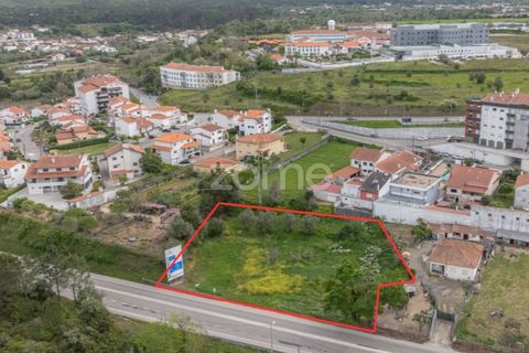Terra a Condeixa-a-Nova, Coimbra, Condeixa-a-Nova - € 155.000 | Ref: ZMPT587464 - foto 2
