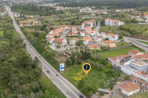 Terra a Condeixa-a-Nova, Coimbra, Condeixa-a-Nova - € 155.000 | Ref: ZMPT587464 - foto 4