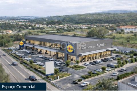 Terra a Condeixa-a-Nova, Coimbra, Condeixa-a-Nova - € 155.000 | Ref: ZMPT587464 - foto 3