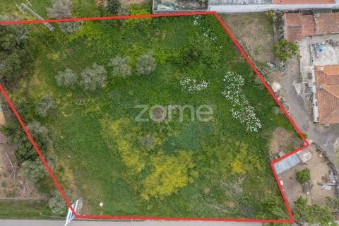 Terra a Condeixa-a-Nova, Coimbra, Condeixa-a-Nova - € 155.000 | Ref: ZMPT587464 - foto 6