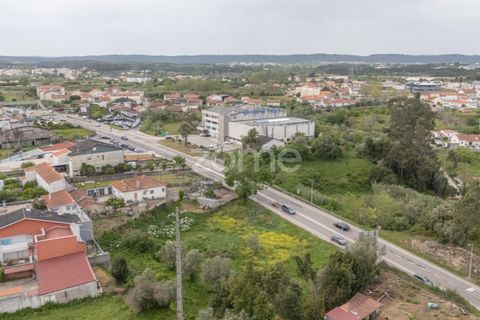 Terra a Condeixa-a-Nova, Coimbra, Condeixa-a-Nova - € 155.000 | Ref: ZMPT587464 - foto 8