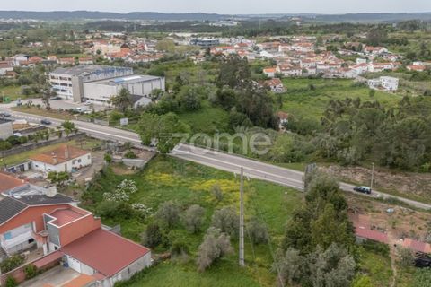 Terra a Condeixa-a-Nova, Coimbra, Condeixa-a-Nova - € 155.000 | Ref: ZMPT587464 - foto 9
