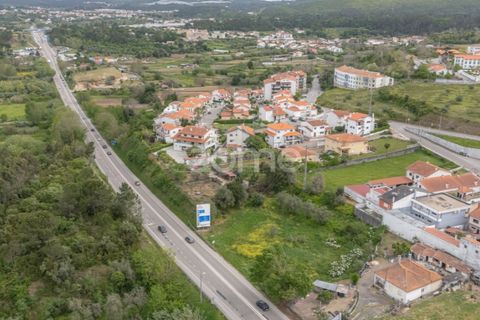Terra a Condeixa-a-Nova, Coimbra, Condeixa-a-Nova - € 155.000 | Ref: ZMPT587464 - foto 14