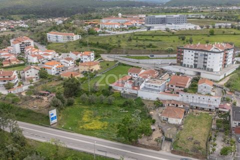 Terra a Condeixa-a-Nova, Coimbra, Condeixa-a-Nova - € 155.000 | Ref: ZMPT587464 - foto 15
