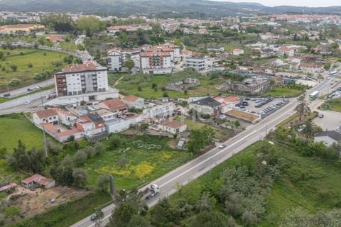 Terra a Condeixa-a-Nova, Coimbra, Condeixa-a-Nova - € 155.000 | Ref: ZMPT587464 - foto 17
