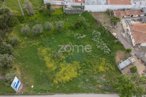 Terra a Condeixa-a-Nova, Coimbra, Condeixa-a-Nova - € 155.000 | Ref: ZMPT587464 - foto 18
