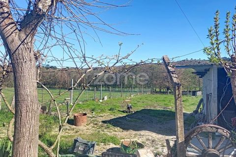 Villa i Guarda, Guarda, Guarda - € 213.000 | Ref: ZMPT587468 - foto 3