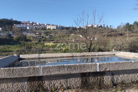 Villa i Guarda, Guarda, Guarda - € 213.000 | Ref: ZMPT587468 - foto 14