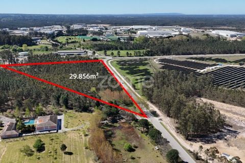 Helårsgrund i Cantanhede, Coimbra, Cantanhede - € 185.000 | Ref: ZMPT587430 - foto 3