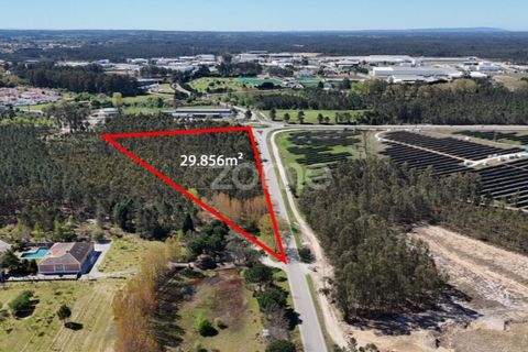 Helårsgrund i Cantanhede, Coimbra, Cantanhede - € 185.000 | Ref: ZMPT587430 - foto 4
