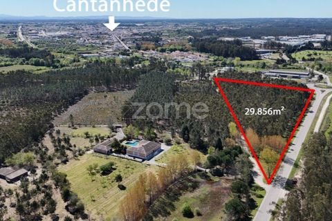 Helårsgrund i Cantanhede, Coimbra, Cantanhede - € 185.000 | Ref: ZMPT587430 - foto 5