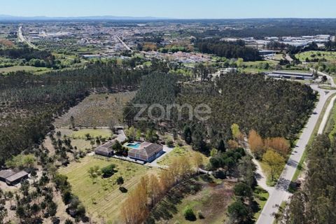 Helårsgrund i Cantanhede, Coimbra, Cantanhede - € 185.000 | Ref: ZMPT587430 - foto 9