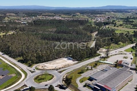 Helårsgrund i Cantanhede, Coimbra, Cantanhede - € 185.000 | Ref: ZMPT587430 - foto 13