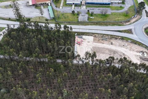Helårsgrund i Cantanhede, Coimbra, Cantanhede - € 185.000 | Ref: ZMPT587430 - foto 15