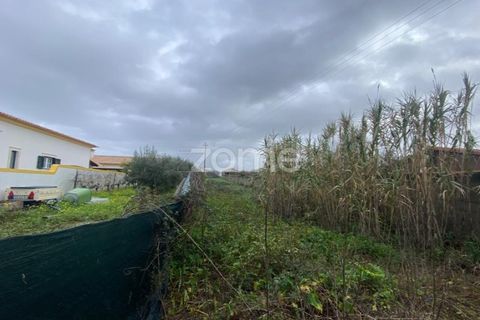 Helårsgrund i Mealhada, Aveiro, Mealhada - € 69.000 | Ref: ZMPT587448 - foto 6