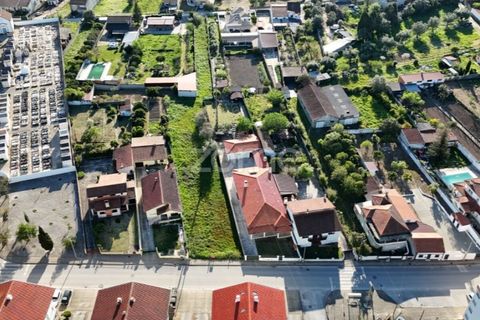 Helårsgrund i Mealhada, Aveiro, Mealhada - € 69.000 | Ref: ZMPT587448 - foto 9