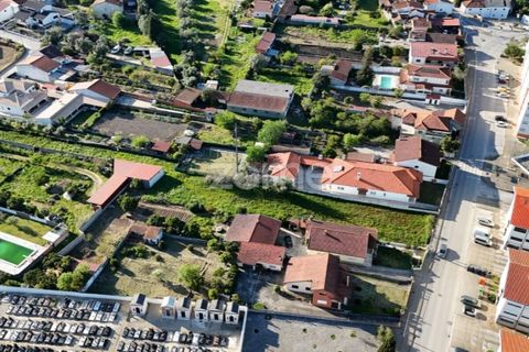 Helårsgrund i Mealhada, Aveiro, Mealhada - € 69.000 | Ref: ZMPT587448 - foto 11