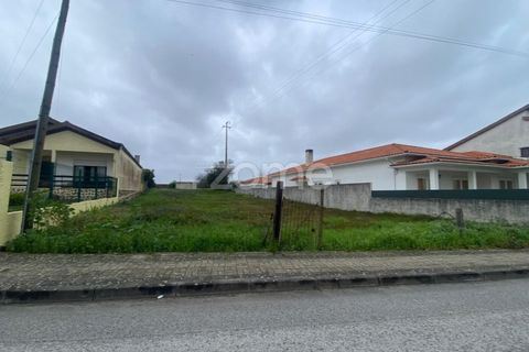 Helårsgrund i Mealhada, Aveiro, Mealhada - € 69.000 | Ref: ZMPT587448 - foto 14