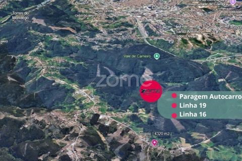 Helårsgrund i Coimbra, Coimbra, Coimbra - € 42.000 | Ref: ZMPT587242 - foto 12