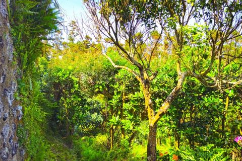 Villa a Ponta Delgada, Sao Miguel, Ponta Delgada - € 350.000 | Ref: AZ99030FR - foto 28
