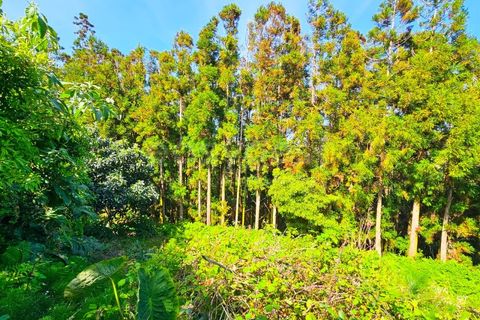 Villa a Ponta Delgada, Sao Miguel, Ponta Delgada - € 350.000 | Ref: AZ99030FR - foto 30