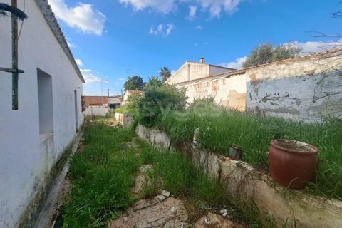 Villa i Albernoa e Trindade, Beja, Albernoa e Trindade - € 79.000 | Ref: BJ98998 - foto 15