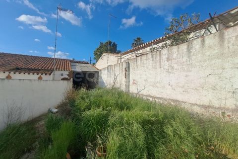 Villa i Albernoa e Trindade, Beja, Albernoa e Trindade - € 79.000 | Ref: BJ98998 - foto 16