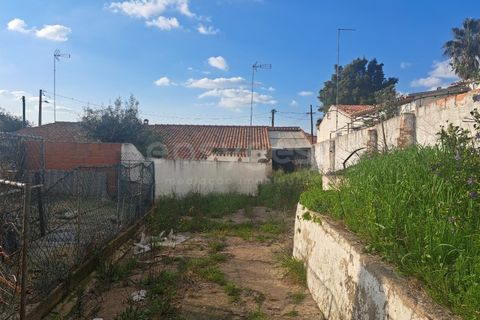 Villa i Albernoa e Trindade, Beja, Albernoa e Trindade - € 79.000 | Ref: BJ98998 - foto 17