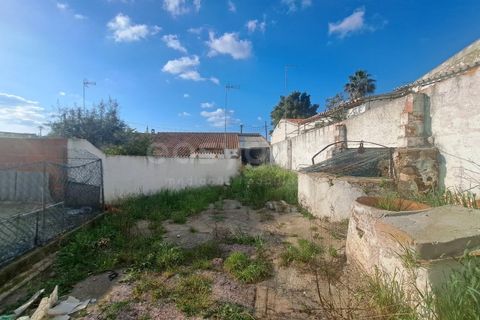 Villa i Albernoa e Trindade, Beja, Albernoa e Trindade - € 79.000 | Ref: BJ98998 - foto 18